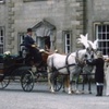 KilvahanHorseDrawnCarriages2 image